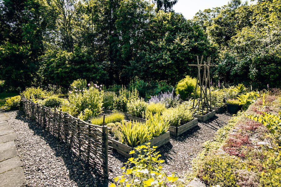 Klostergarten-Amelungsborn Verschiedene Käuter