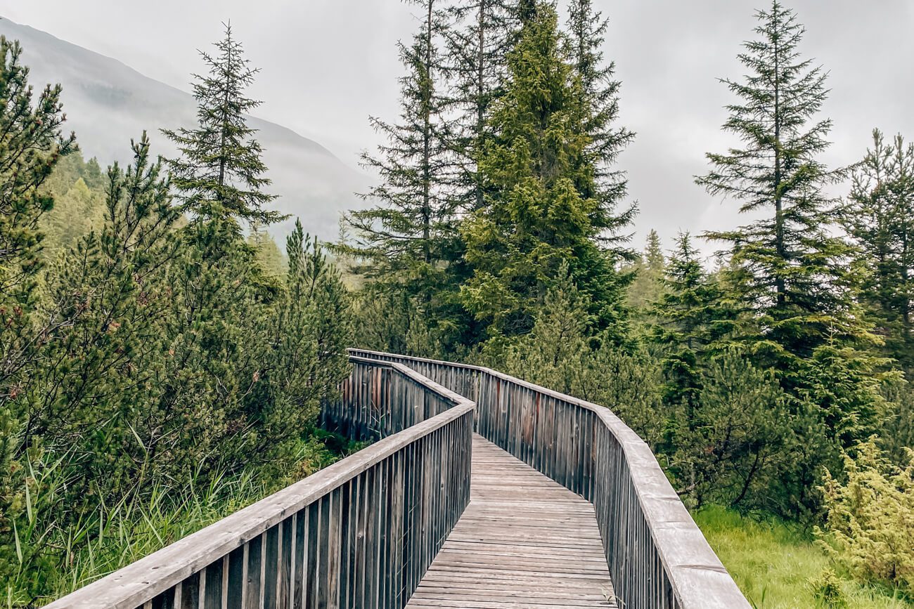 Unterwegs im Piller Moor