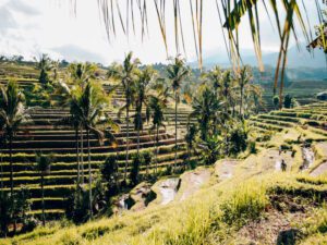 Indonesien Backpacking