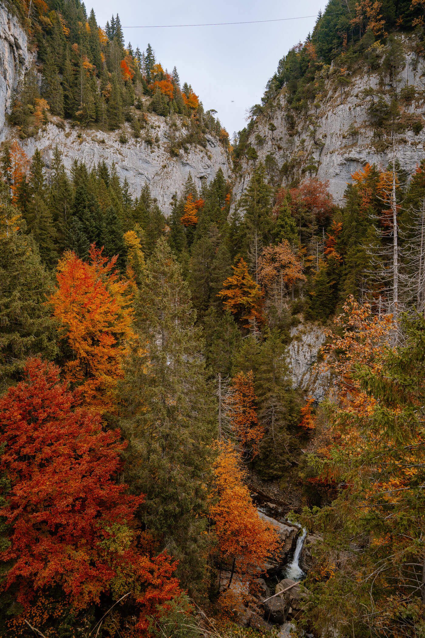 2025-10-13-Flühli-Chessiloch7 Wasserfall Chessilocha