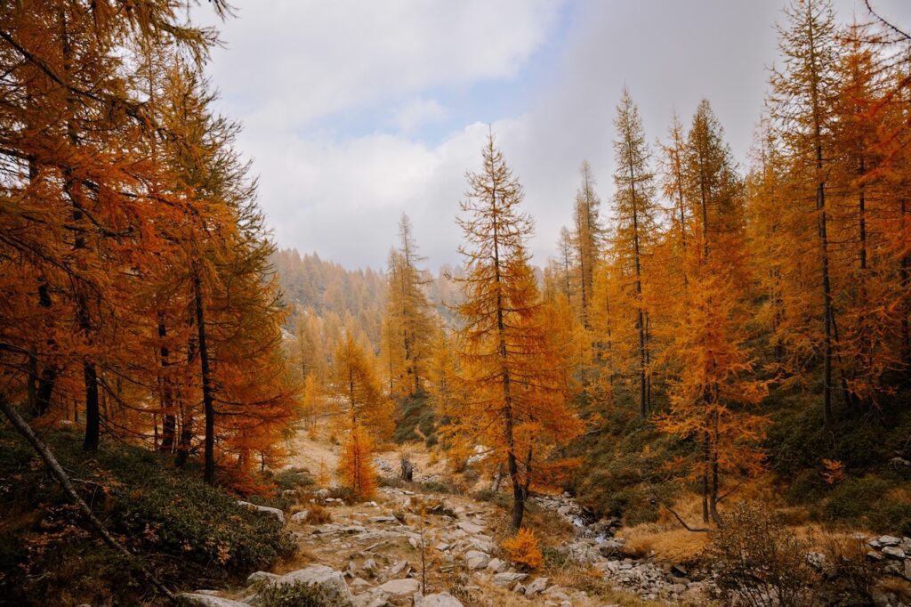 Herbstwandern in der Schweiz