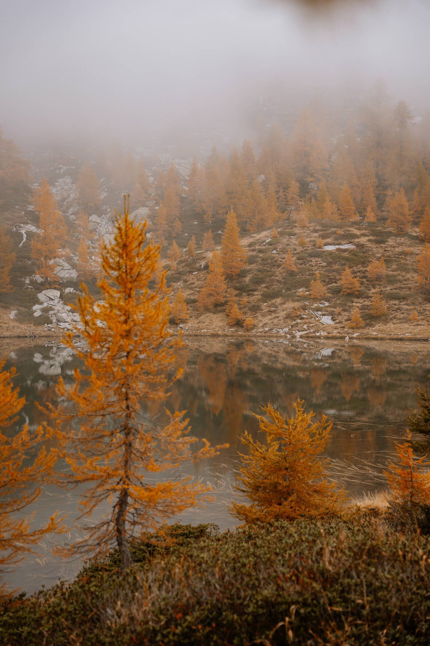2025-10-16-Lago-Salei53 Mystische Nebelstimmung am See