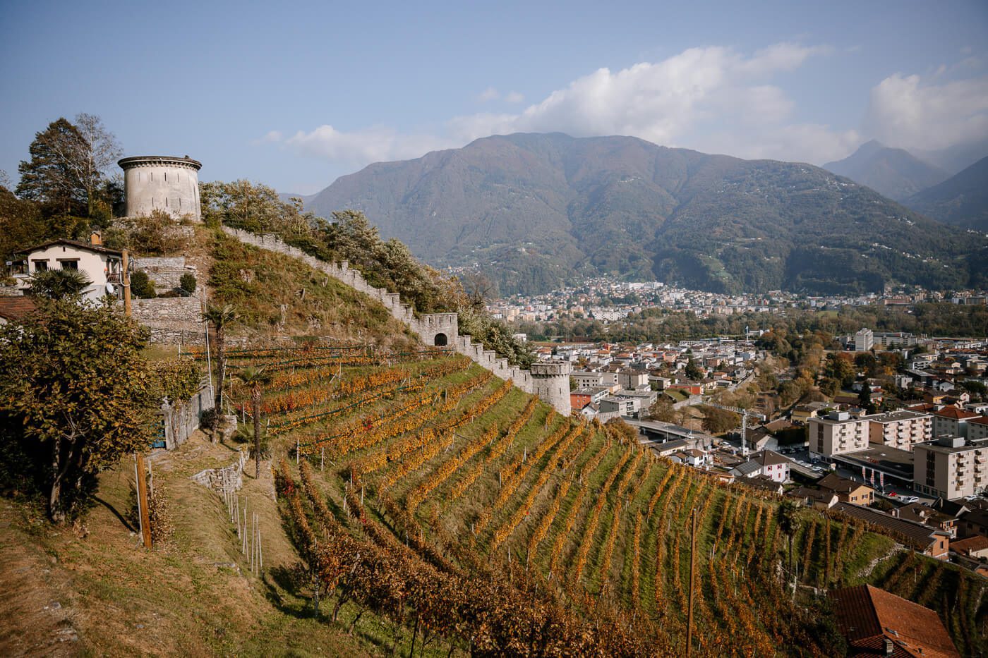 2025-10-17-Bellinzona-Tibet-Brücke3 Blick mit Weinbergen und Bellinzona im Hintergrund