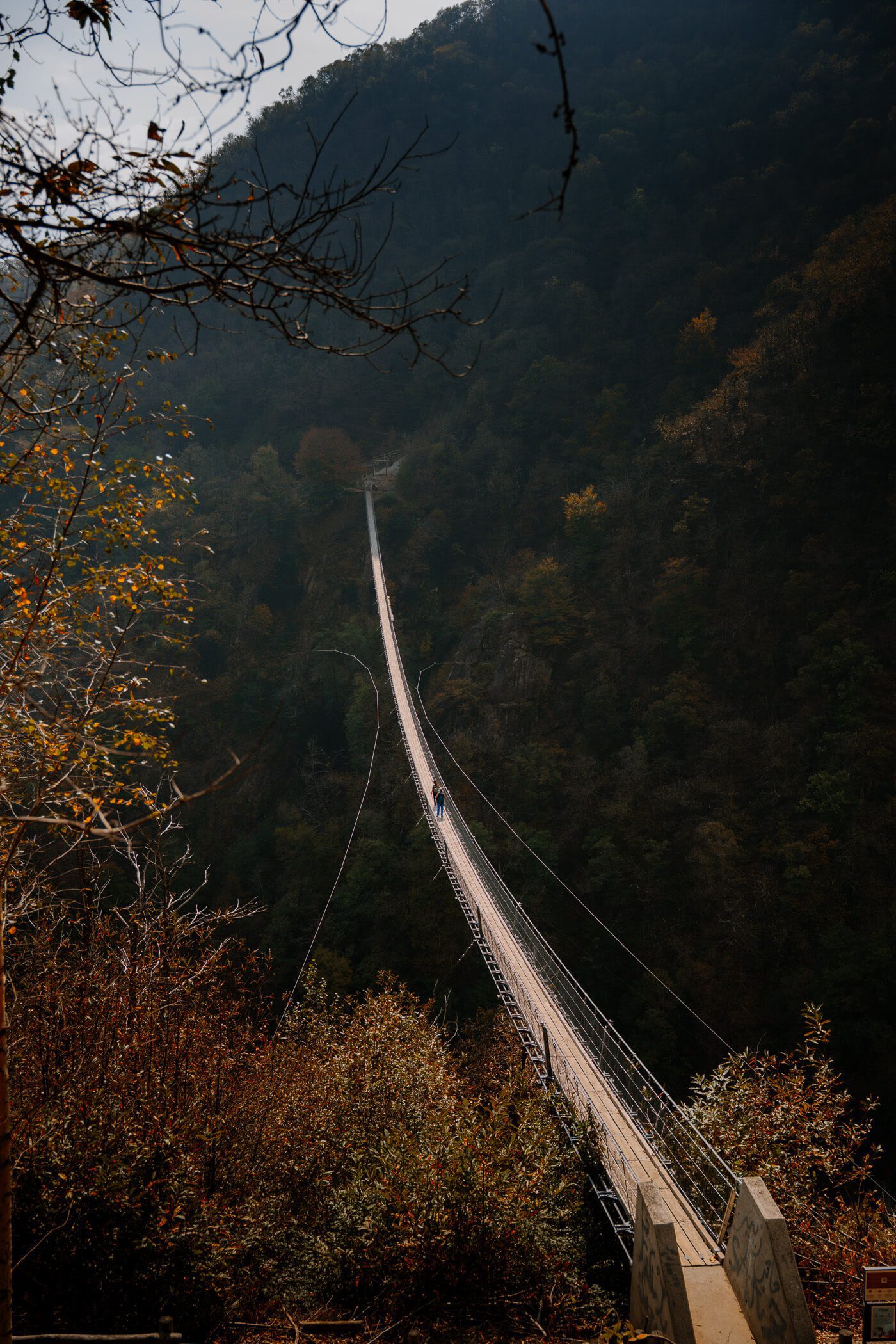 2025-10-17-Bellinzona-Tibet-Brücke52 Blick auf die Tibetische Brücke Carasc