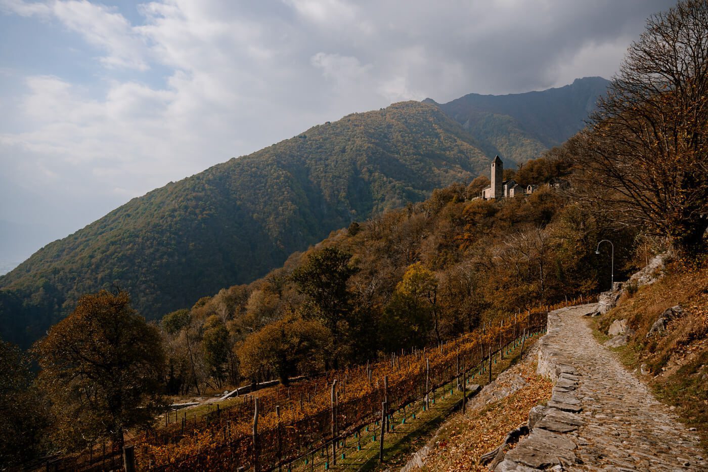 2025-10-17-Bellinzona-Tibet-Brücke64 Blick auf die Kirche San Bernardo