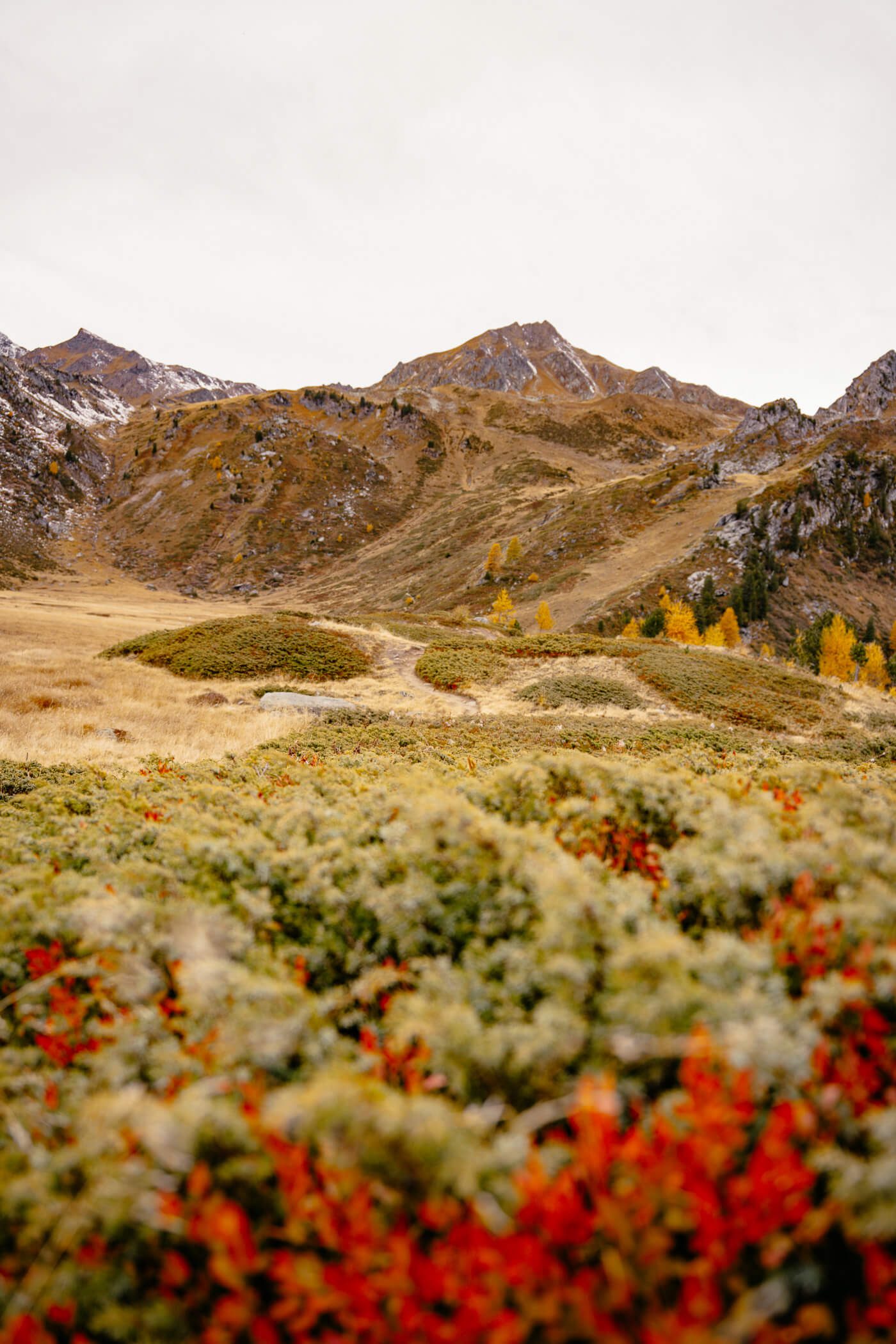 Vallon de Rechy Bunter Herbstpracht im Vallon de Rechy