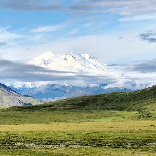 Blick auf den Denali