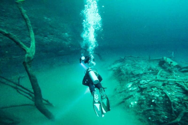 Angelita-Tauchen-Mexiko Tauchen in Cenote Angelita in Mexiko