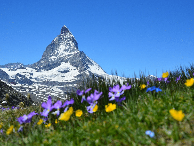 Schweiz-Matterhorn