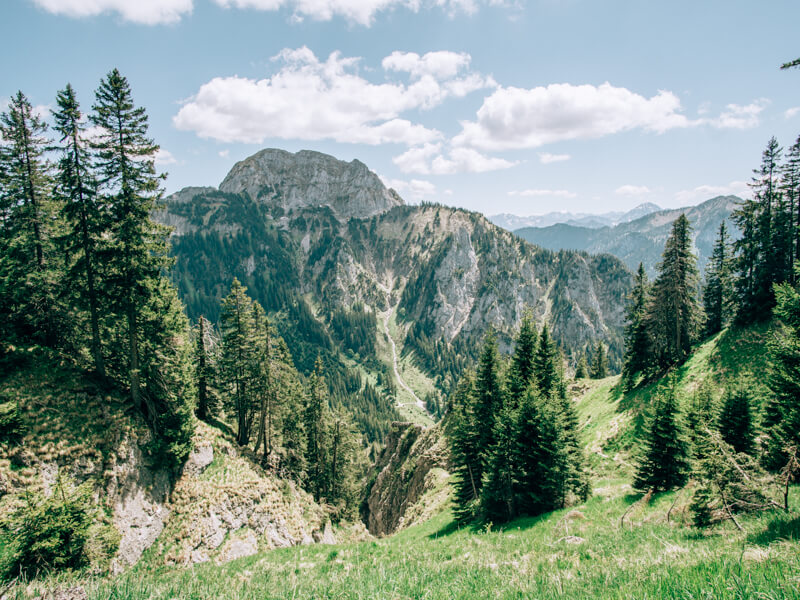 Blick in die Allgäuer Alpen