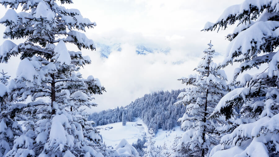 Winter Wonderland