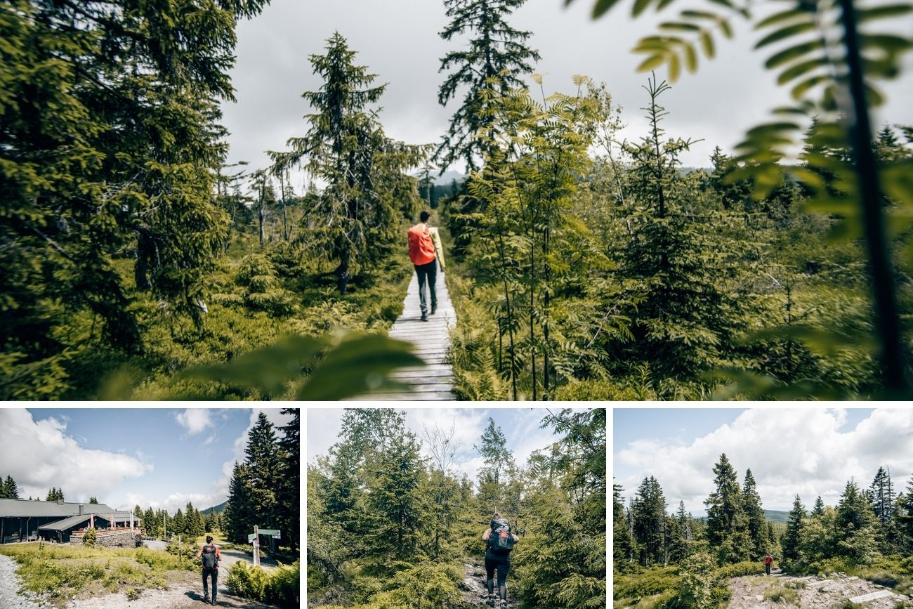 Wanderung zum Arber im Bayerischen Wald