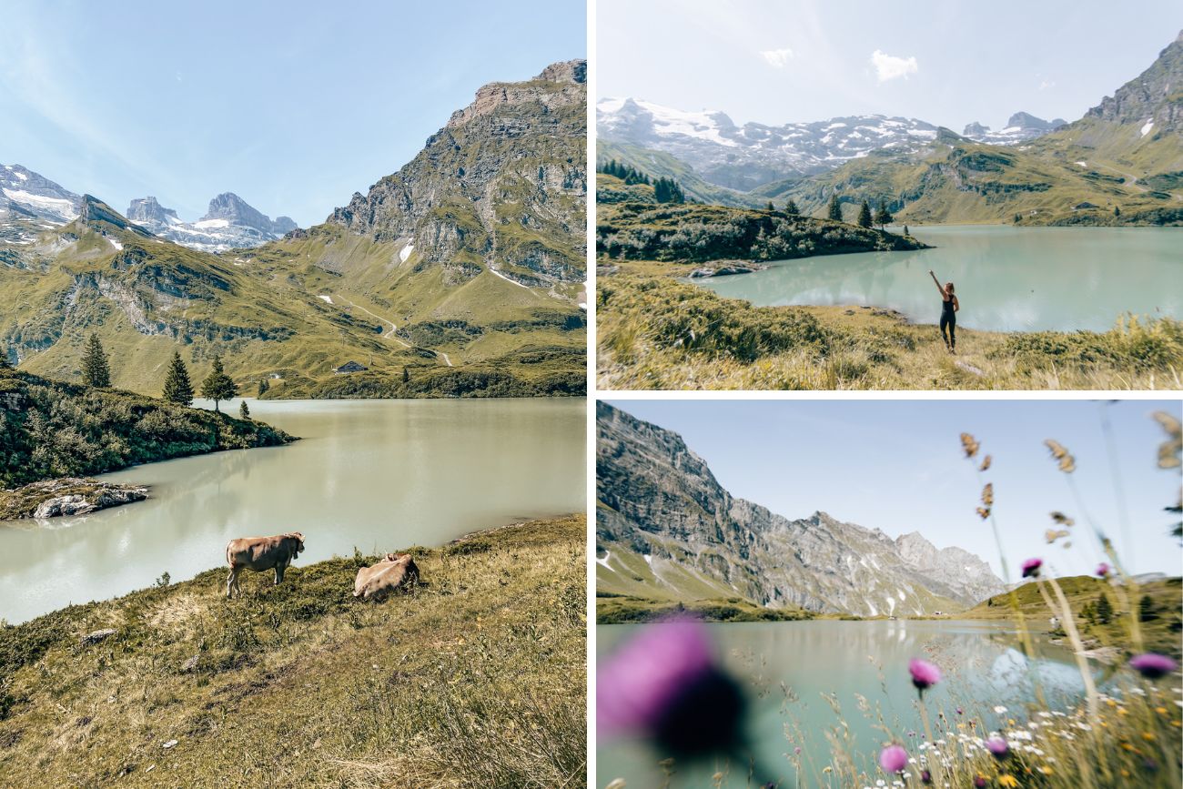 Trüebsee Idylle
