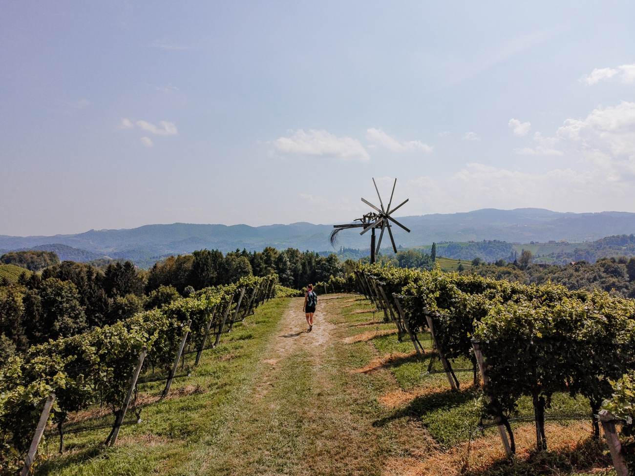 Kulinarische Weinbergwanderung