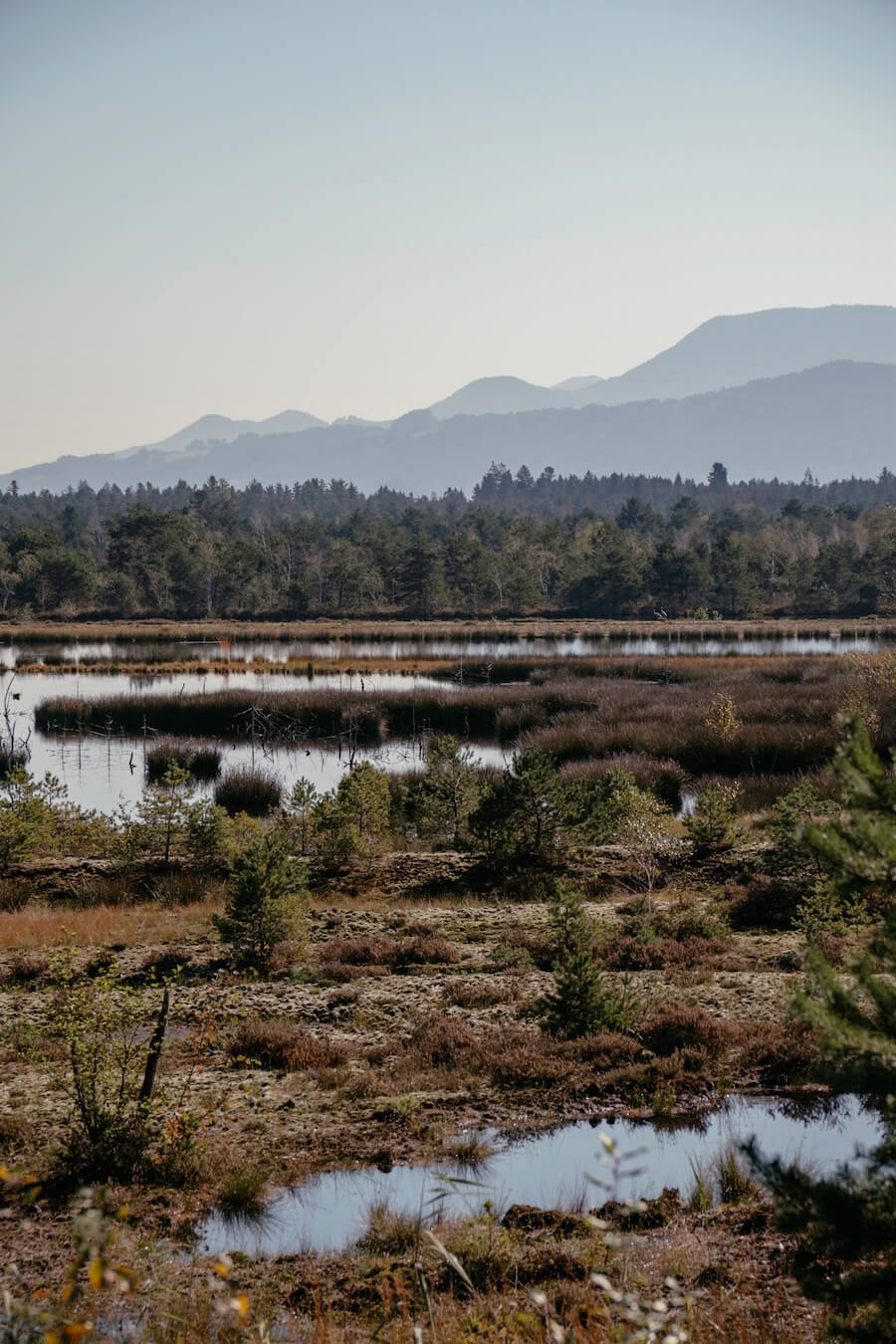 Blick über das Moor mit den Bergen im Hintergrund