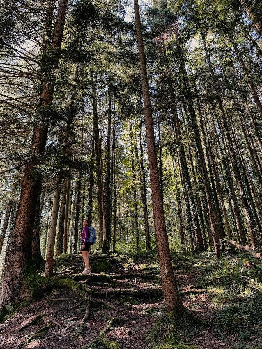 Waldbaden