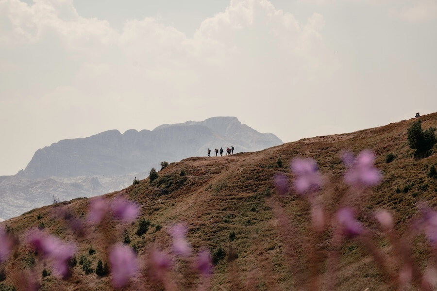 Menschen am Kamm beim Wandern