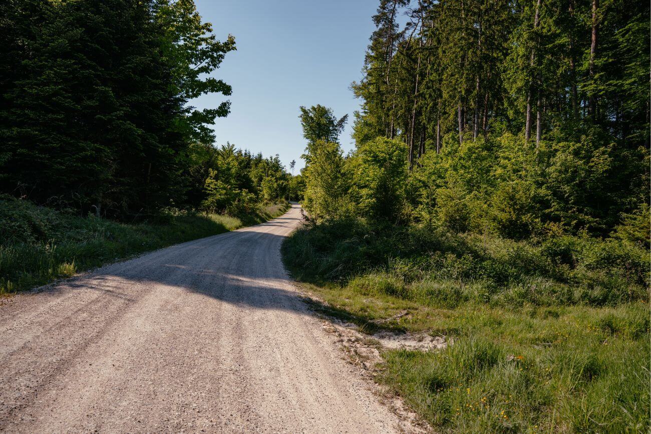 Dillinger-Land-Radfahren-Wald Waldradweg perfekt für Gravelfahrer