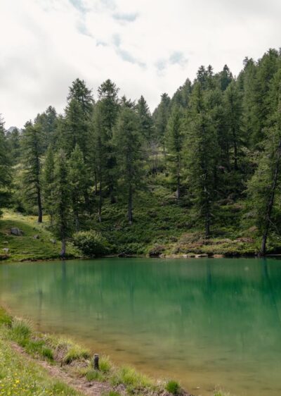 2025-06-18-Maira-Etappe2-Mt-Gardetta42 Der Lago Reslie
