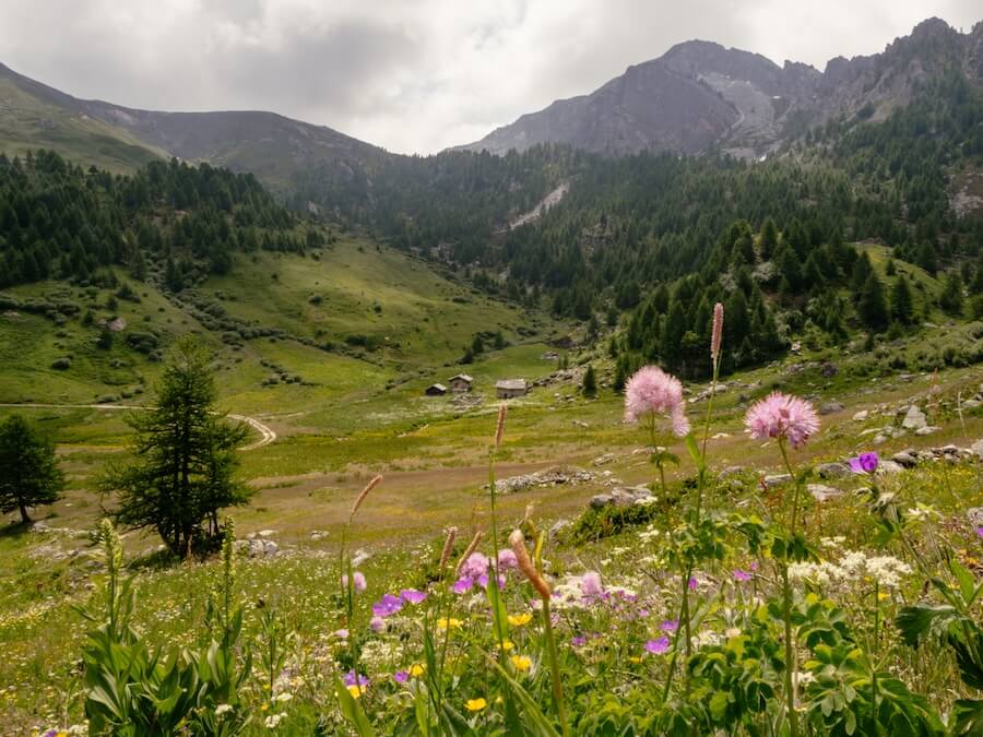 2025-06-18-Maira-Etappe2-Mt-Gardetta56 Colle del Mulo