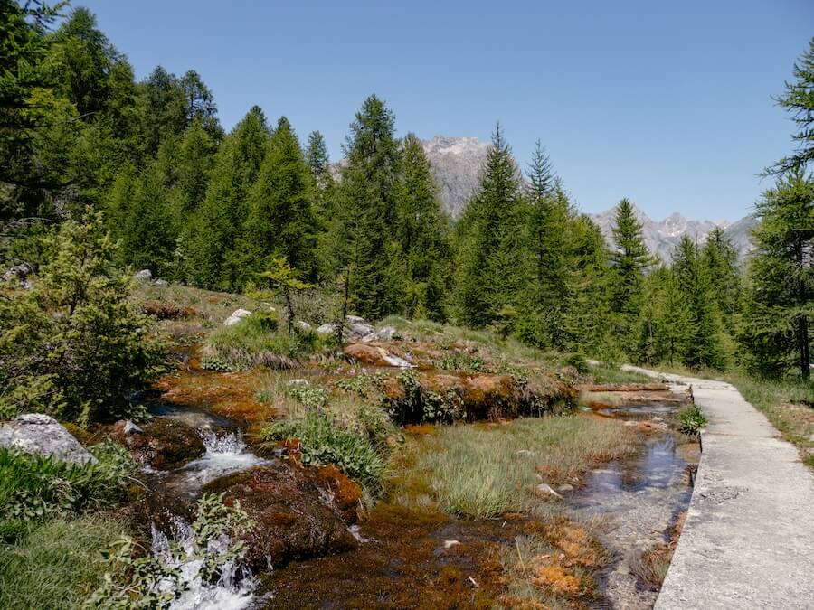 2025-06-19-Maira-Etappe3-53 An der Maira Quelle