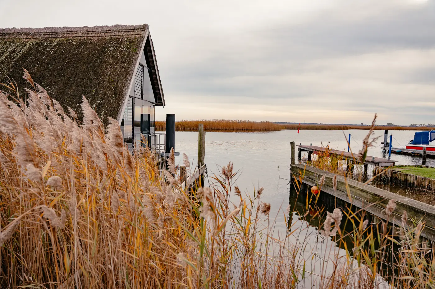 2025-10-30-Zingst-Herbst21 Herbstliche Boddenlandschaft