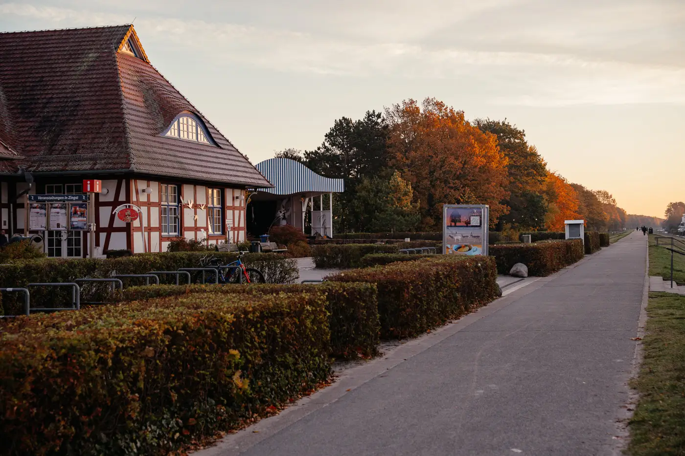 2025-10-30-Zingst-Herbst33 Auf dem Deich von Zingst bei Sonnenaufgang