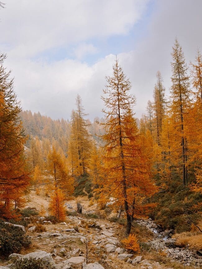 Herbstwandern in der Schweiz