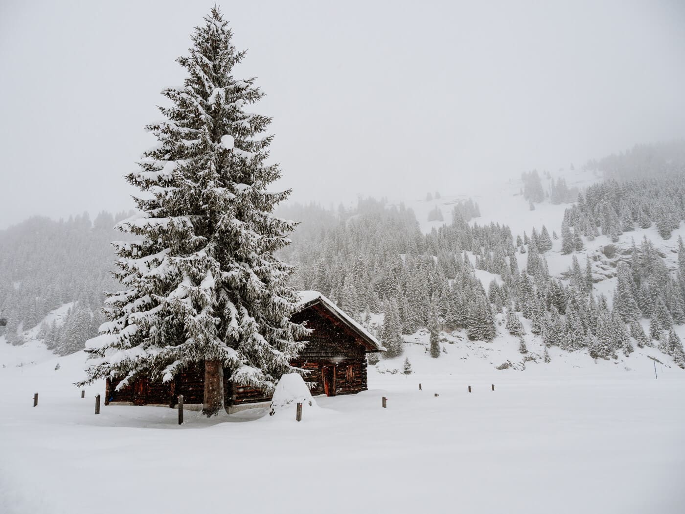 Hütte bei Schneewetter