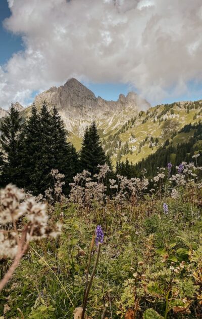 Hahnenkamm Wanderung
