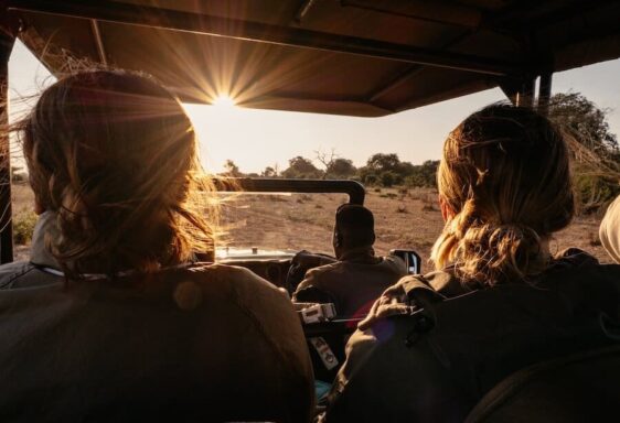 Botswana-Chobe-Nationalpark-Safari Safari zum Sonnenaufgang